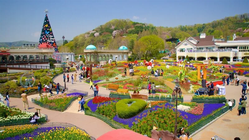 Không gian công viên giải trí Everland