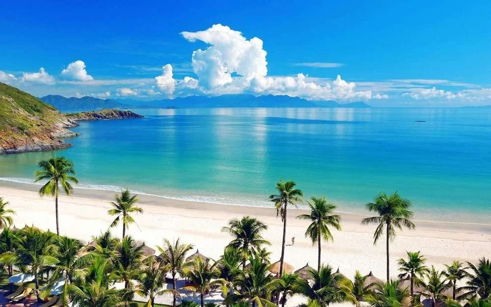 Bãi biển với cát trắng, hàng dừa và làn nước xanh