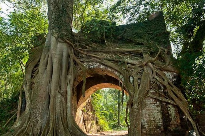 Làng Cổ Trăm Tuổi Phong Nam - Miền Ký Ức Giữa Lòng Đà Nẵng Hiện Đại 3 làng cổ trăm tuổi Phong Nam