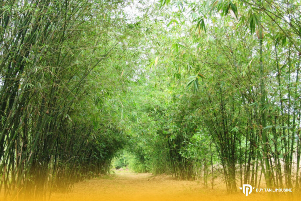 Sơn Trà Tịnh Viên Đà Nẵng