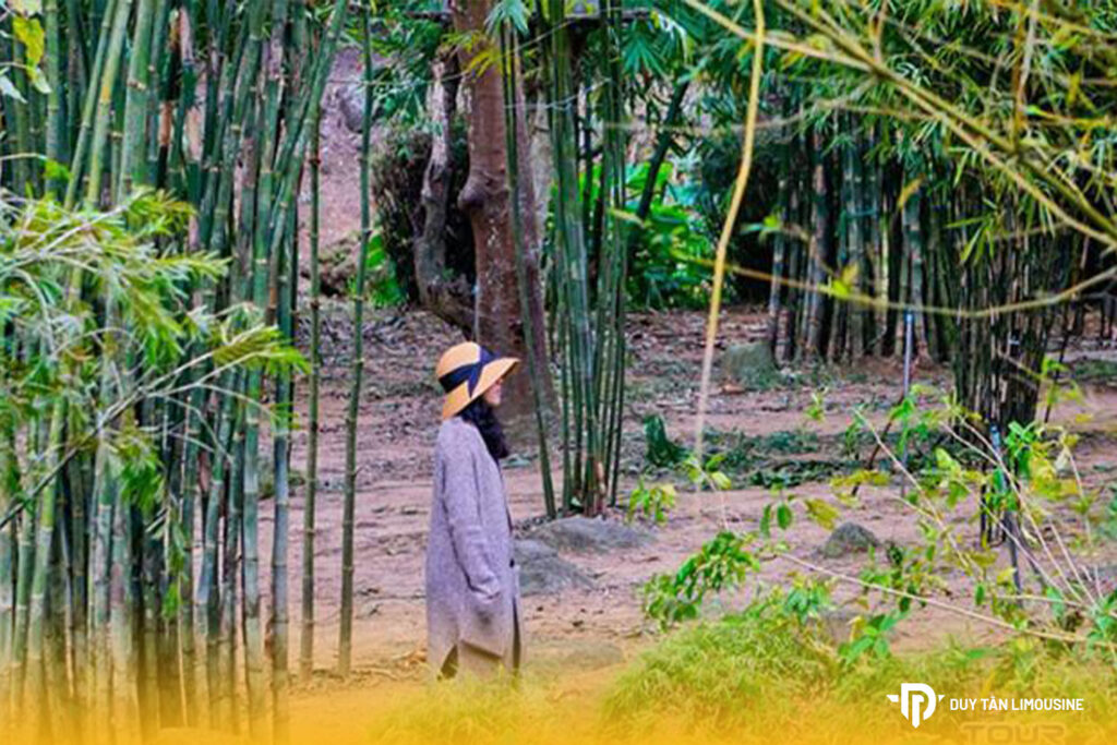 Sơn Trà Tịnh Viên Đà Nẵng