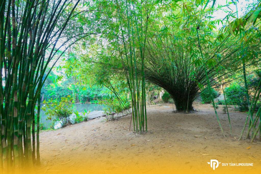 Sơn Trà Tịnh Viên Đà Nẵng