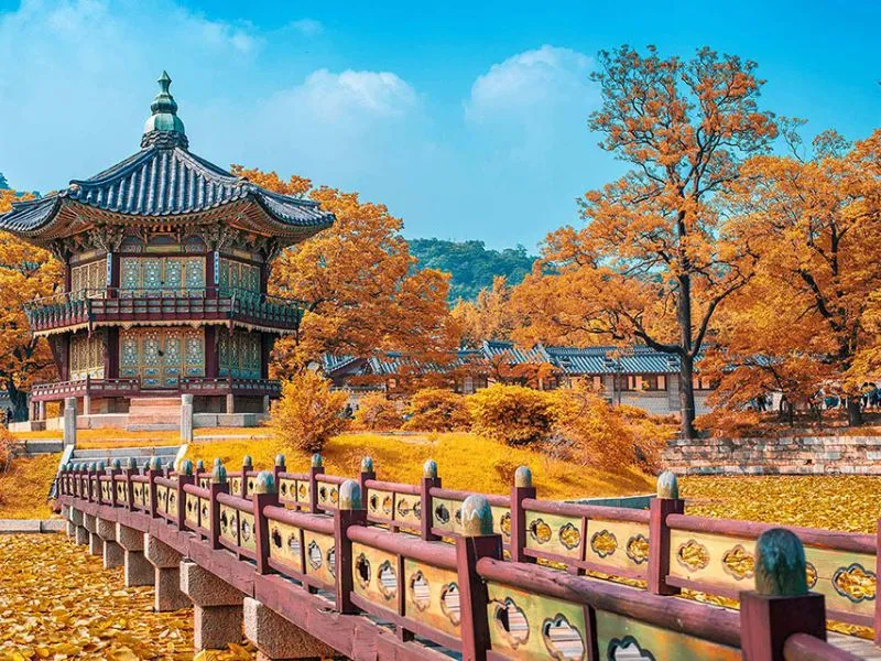 Mùa thu lãng mạn tại Hàn Quốc