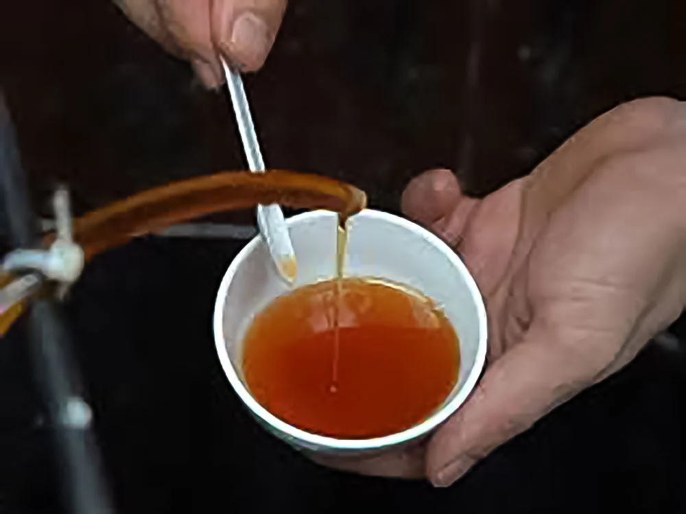 Nước mắm được lấy vào một chiếc chén nhỏ