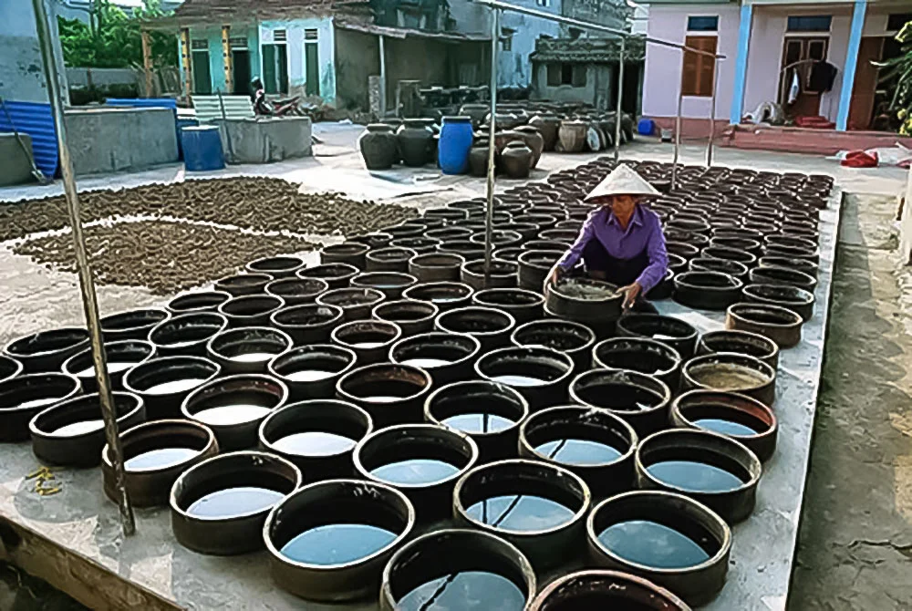 Các chum trong khu làm nước mắm Nam Ô