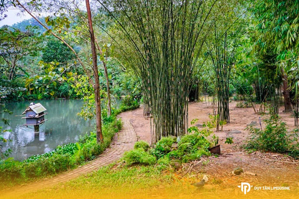 Khóm tre và lối đi cạnh hồ nước tại Sơn Trà Tịnh Viên